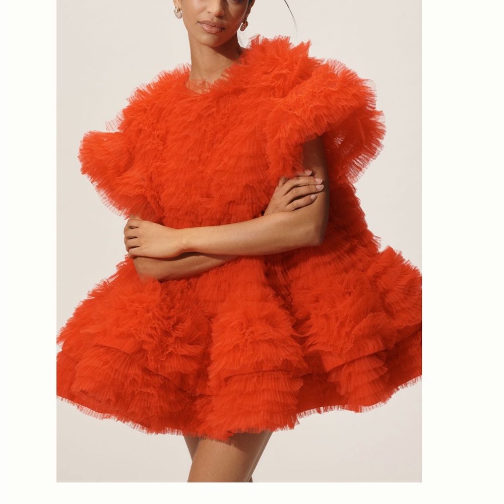 CeliaB Amor Ruffle Swing Mini Dress NWT Size XS